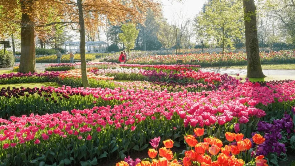 Keukenhof: Entry Ticket - Image 1